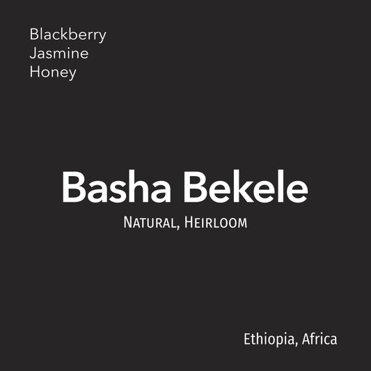 Basha Bekele