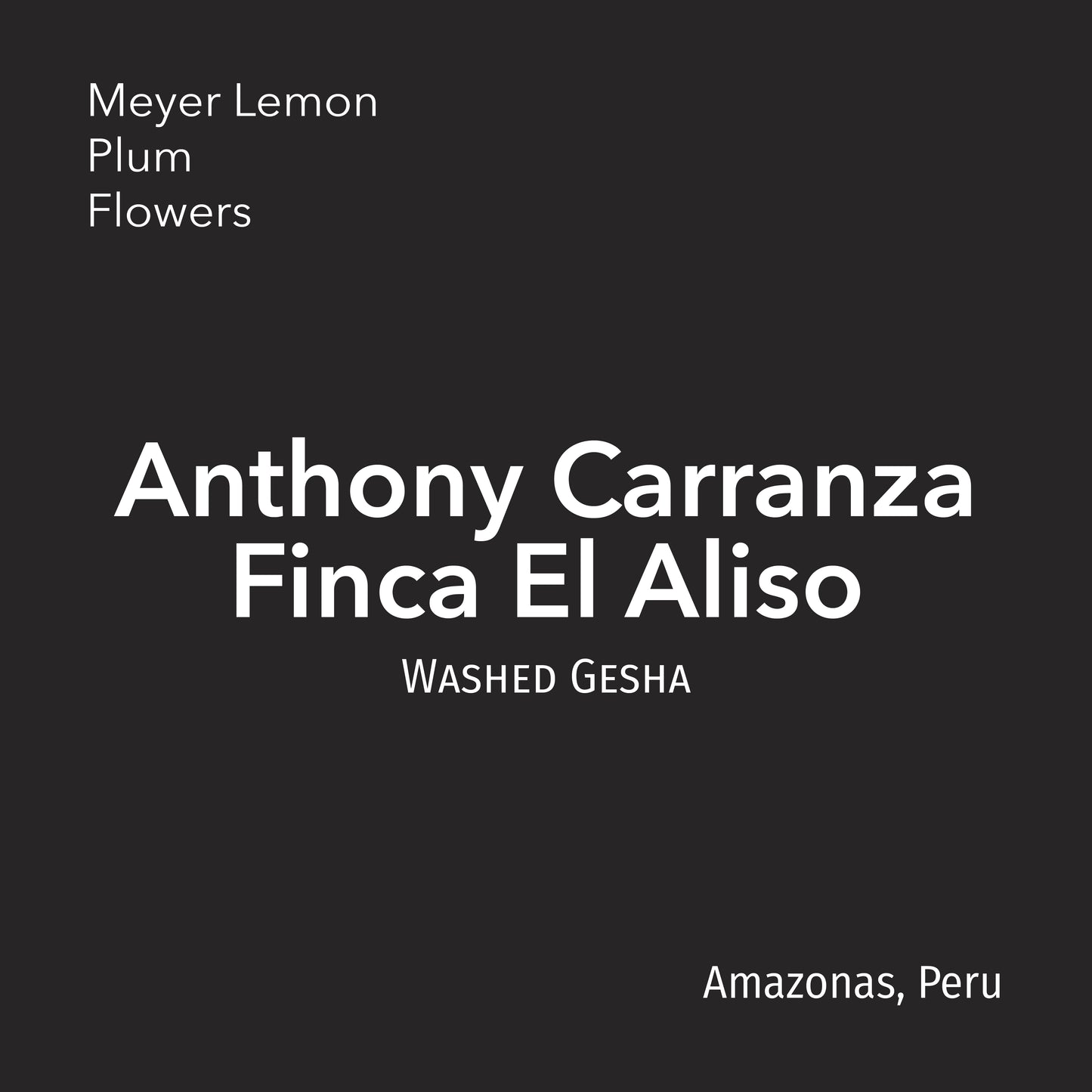 Finca El Aliso
